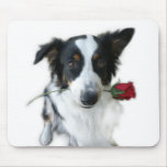 Rose from Lady The Australian Shepherd Mousepad
