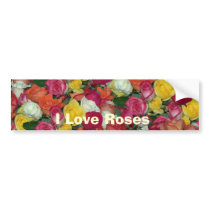 rose galore bumper stickers