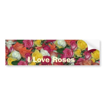 rose galore bumper sticker by bkang22