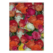 rose galore greeting card