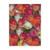 rose galore postcards by bkang22 rose galore postcards