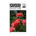 Rose Garden at the Huntington postage