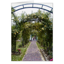 Rose Garden cards by alexmarie Rose Garden cards