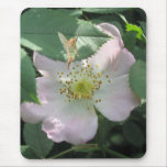 Rose Garden Fairy mousepads
