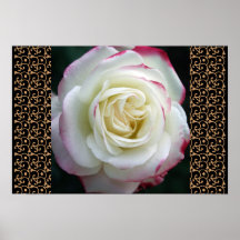 Rose Garden Mod Chic Classy Floral Blossoms Poster