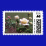 Rose Garden Stamp