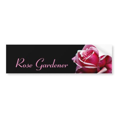 Rose Gardener Bumper Stickers by iiiyaaa