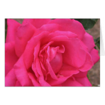 Rose Greeting Card by squirrel27 Rose Greeting Card