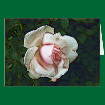 Rose greeting card