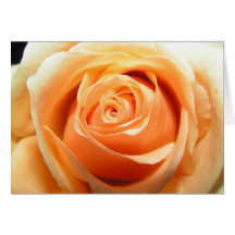Rose Greeting Card