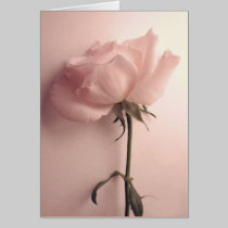 Rose Greeting Card cards