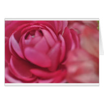 Rose cards