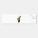Rose grey alpaca bumper stickers