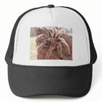 Rose Hair Tarantula Mesh Hat