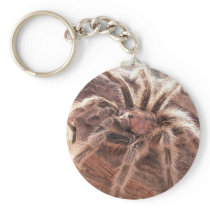 Rose Hair Tarantula Key Chains