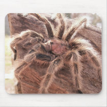 Rose Hair Tarantula Mouse Pad