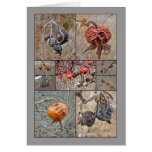 Rose Hip Collage Greeting Card