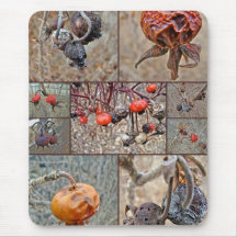 Rose Hip Collage Mouse Pad