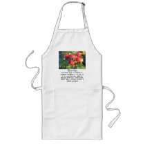 Rose hips aprons