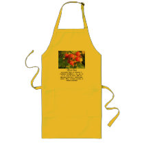 Rose hips aprons