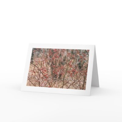 Rose hips cards by artmidwife