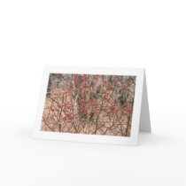Rose hips cards