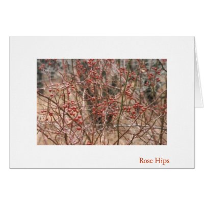 Rose Hips Greeting Cards by artmidwife