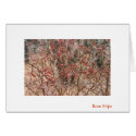 Rose Hips cards by artmidwife Rose Hips cards