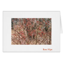 Rose Hips cards by artmidwife Rose Hips cards