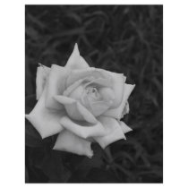 Rose in Black and White flyers