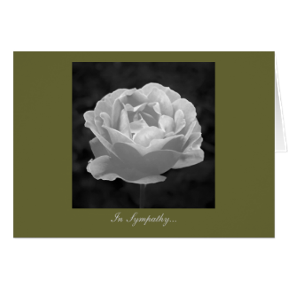 Rose In Black And White - In Sympathy Greeting Card