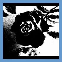 Rose in Black and White - POSTER posters