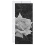 Rose in Black and White Personalized Rack Card