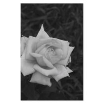 Rose in Black and White stationery