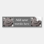 Rose in black, white & gray bumper stickers