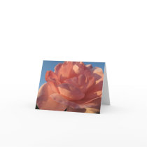 rose in bloom cards