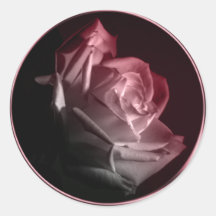 Rose In Bloom Wedding Invitation Envelope Seal Round Sticker