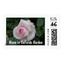 Rose in Cofields Garden postage by tunguska Rose in Cofields Garden postage