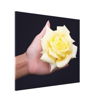 Rose in hand zazzle_wrappedcanvas