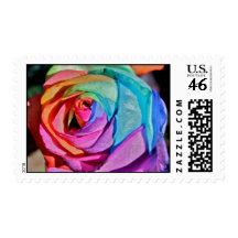 Rose in multi-colours Postage