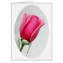 Rose in Oval cards by mauries Rose in Oval cards