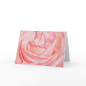 Rose in Pink cards