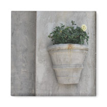 rose in the city magnets by DonnaGrayson_Photos rose in the city magnets