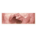 Rose in the Desert, Profile Card business cards by Bystillwaters Rose in the Desert, Profile Card business cards