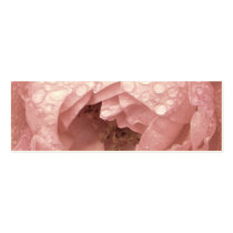 Rose in the Desert, Profile Card business cards