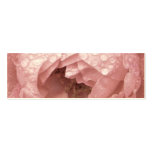 Rose in the Desert, Profile Card Business Card