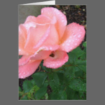 Rose in the Rain Card by gramabarb Rose in the Rain Card