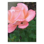 Rose in the Rain Card Rose in the Rain Card