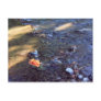rose in the stream, postcard