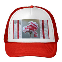 Rose in Winter Cap Trucker Hats